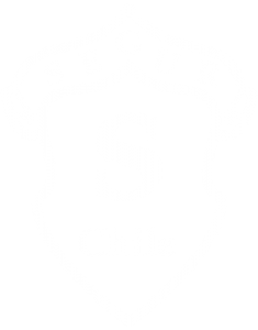 Segur Chile Ltda.